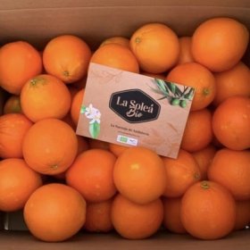 Naranjas de zumo Ecológicas (10, 15 o 20Kg)