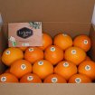 Pack de Naranjas de Mesa Ecológicas (5 a 20Kg)